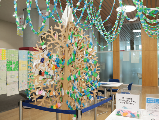展示