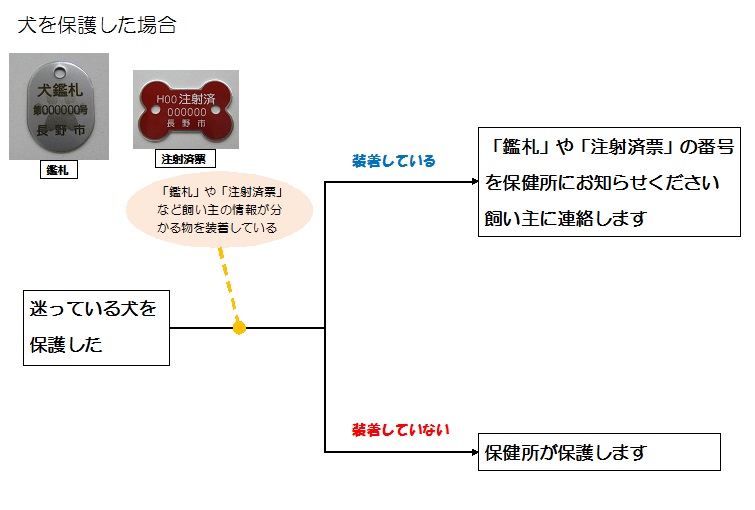 犬を保護した場合の対応について