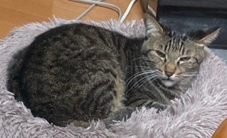 8-2号の写真1