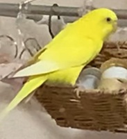 8-3号の写真2