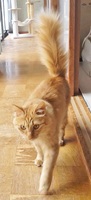 8号の写真1