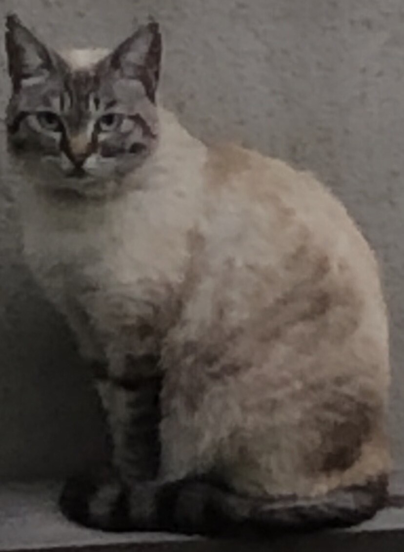 登録番号7-9号の写真