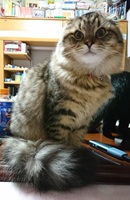 9号の写真1