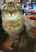 9号の写真2