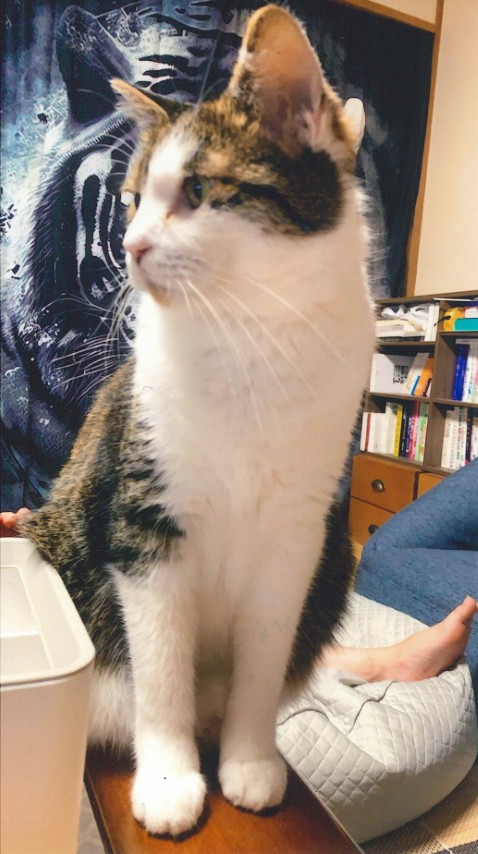 登録番号7-12号aの写真