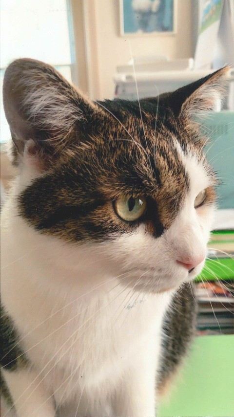 登録番号7-12号bの写真