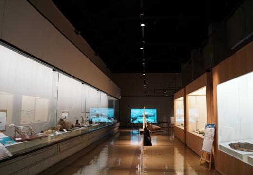 展示室
