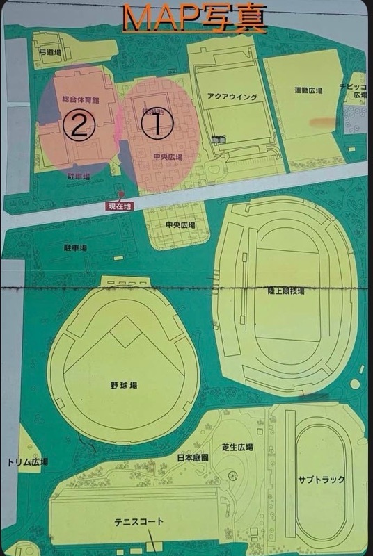 猪俣2