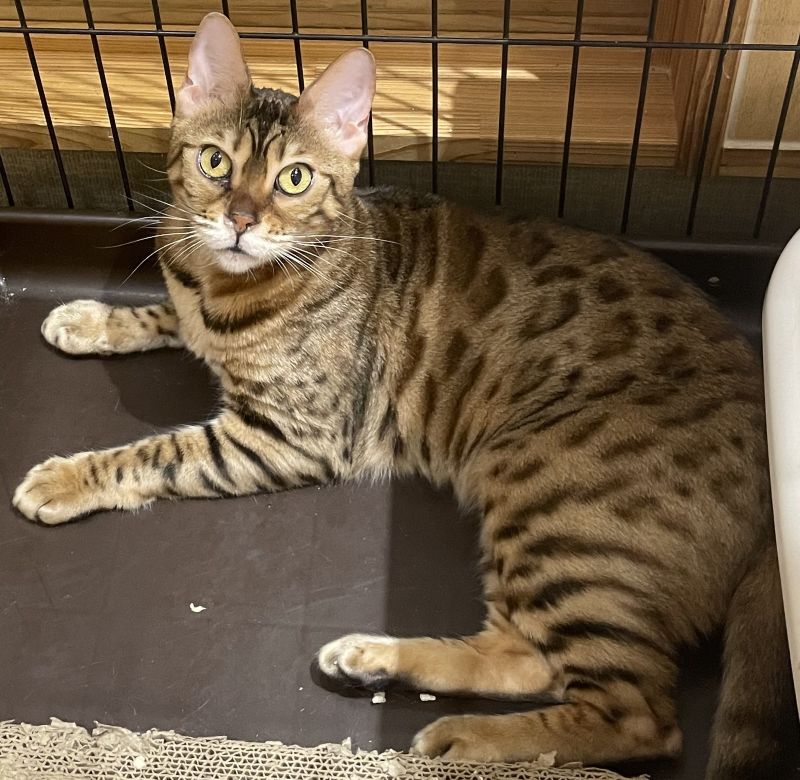 登録番号7-30号の1の写真