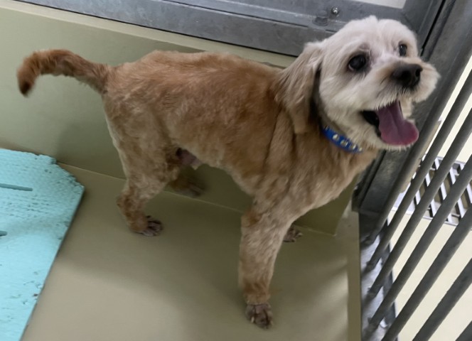 登録番号7-75号の1の写真