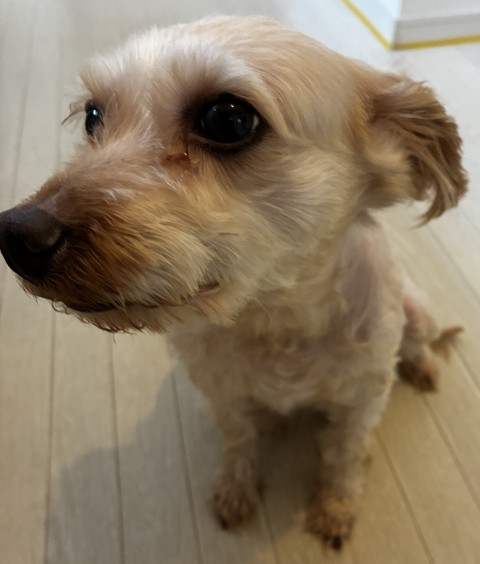 登録番号8-5号Bの写真