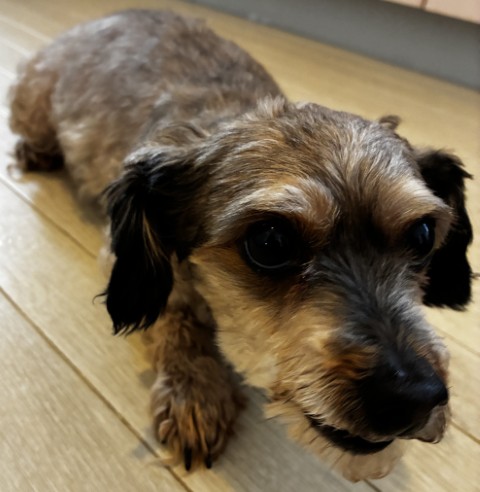 登録番号8-5号Aの写真