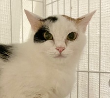8号の写真