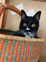 8-8号Åの写真