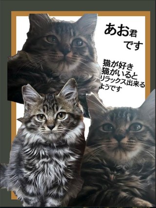登録番号8-46号の写真