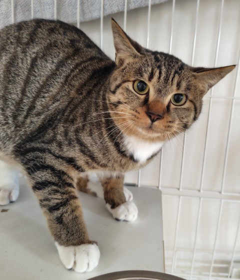 登録番号7-69号Bの写真