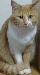 7-43の写真