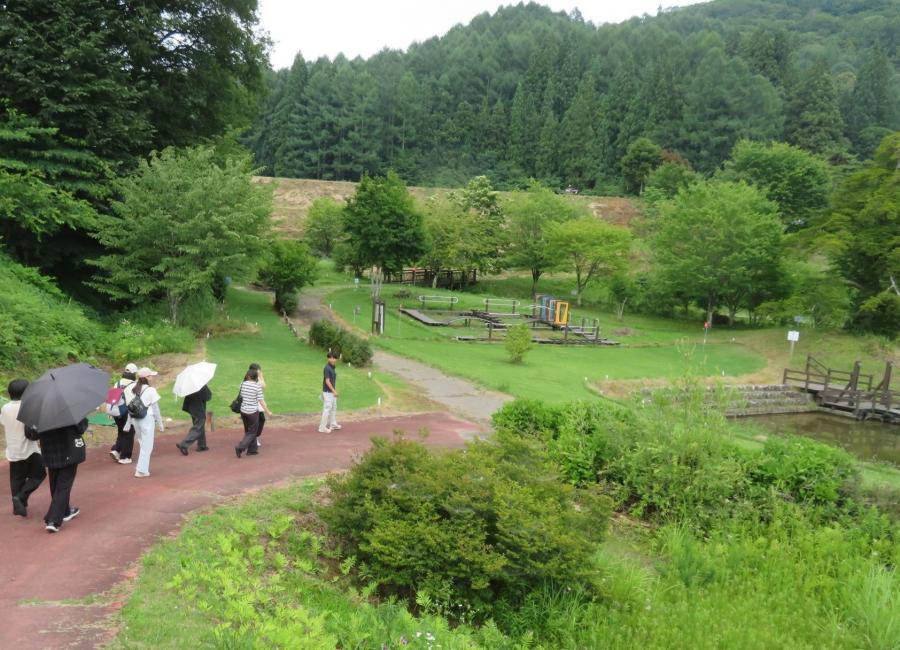 ogawa