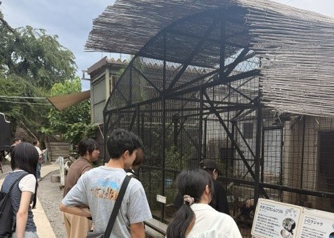 suzaka2