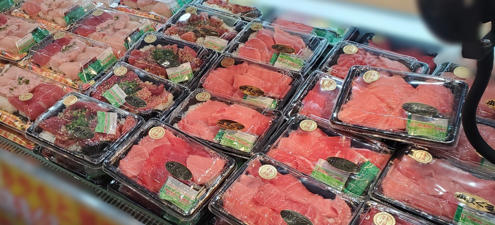 マグロ即売会の写真