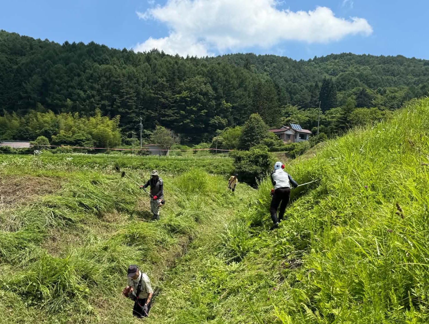 草を刈る場所の大半は急傾斜地の写真