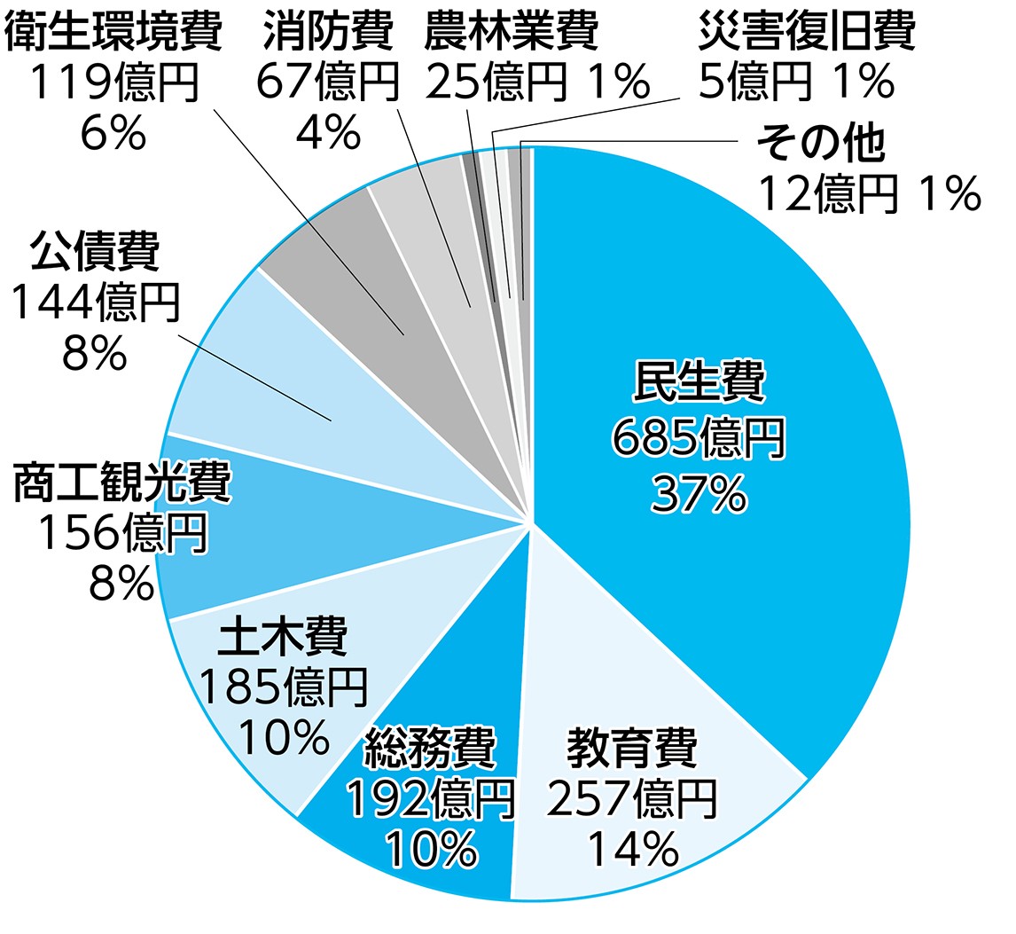 歳出の円グラフ