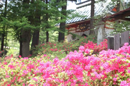 つつじ山公園