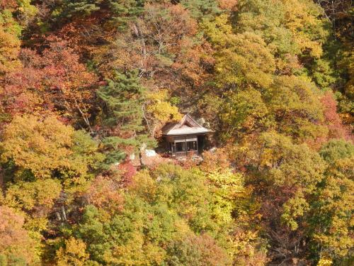 紅葉と秋葉神社