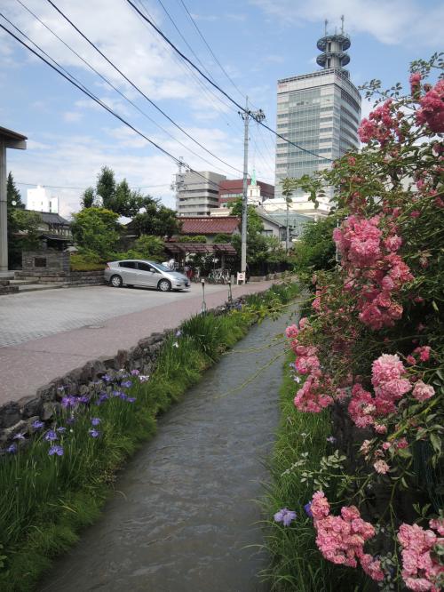 南八幡川沿いの通り