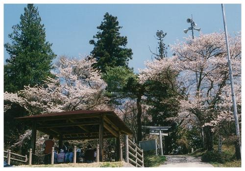 春日山神社と境内からの眺め