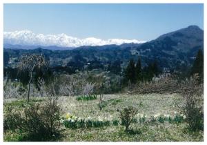 春日山神社境内からの眺め