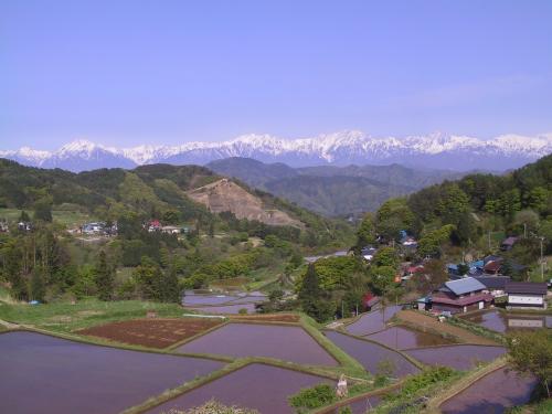 大岡の棚田