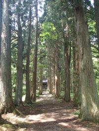 樋知大神社の境内