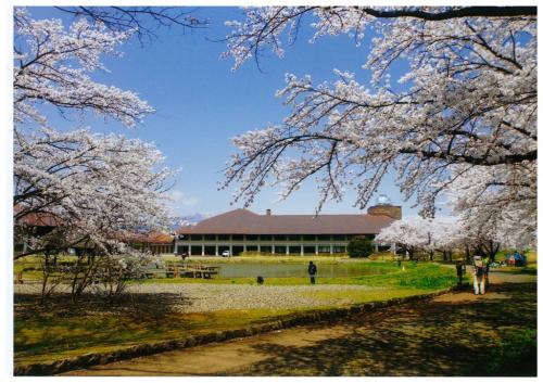 川中島古戦場史跡公園の桜と市立博物館