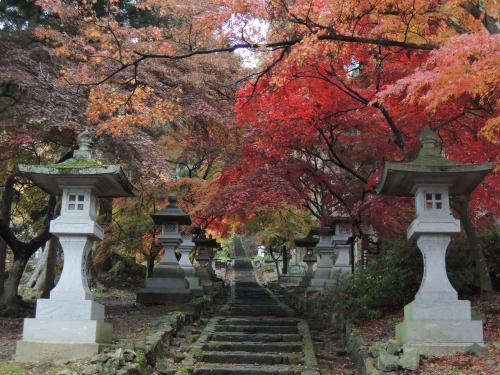 清水寺の紅葉・ぼたん