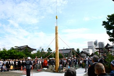 武井神社の祭礼の写真