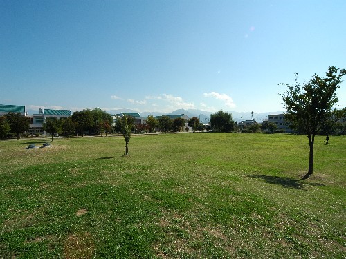 三本柳中央公園