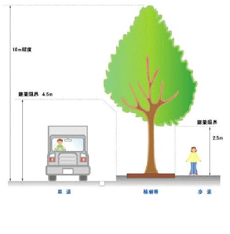 街路樹管理イメージ図