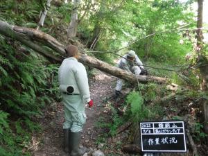 山倉建設登山道整備