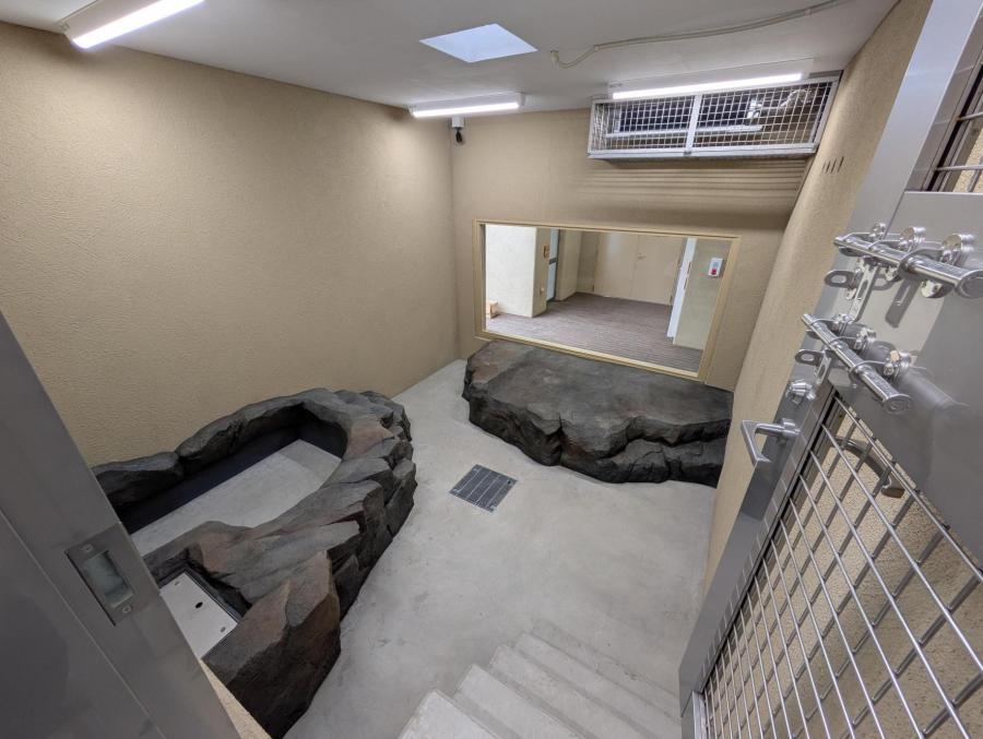アムールトラの森屋内パドック