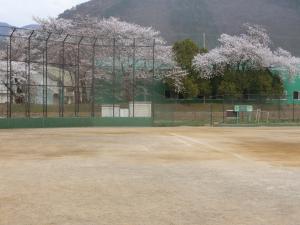 青垣公園運動場です