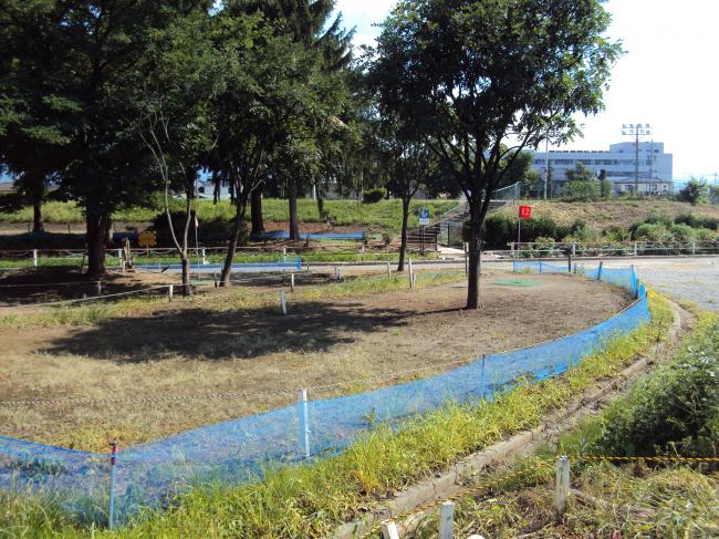 長野運動公園総合運動場マレットゴルフ場風景