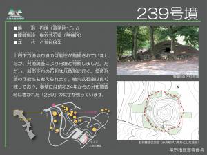 239号墳の説明版