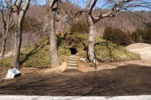 整備が完了した239号墳の写真1