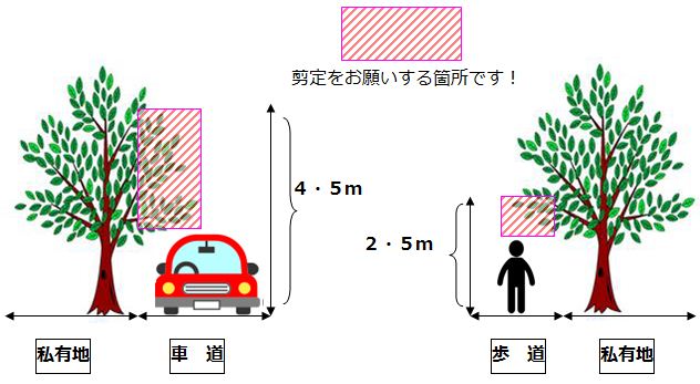 剪定をお願いする箇所の例