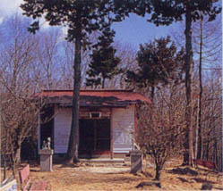 左近稲荷神社の写真