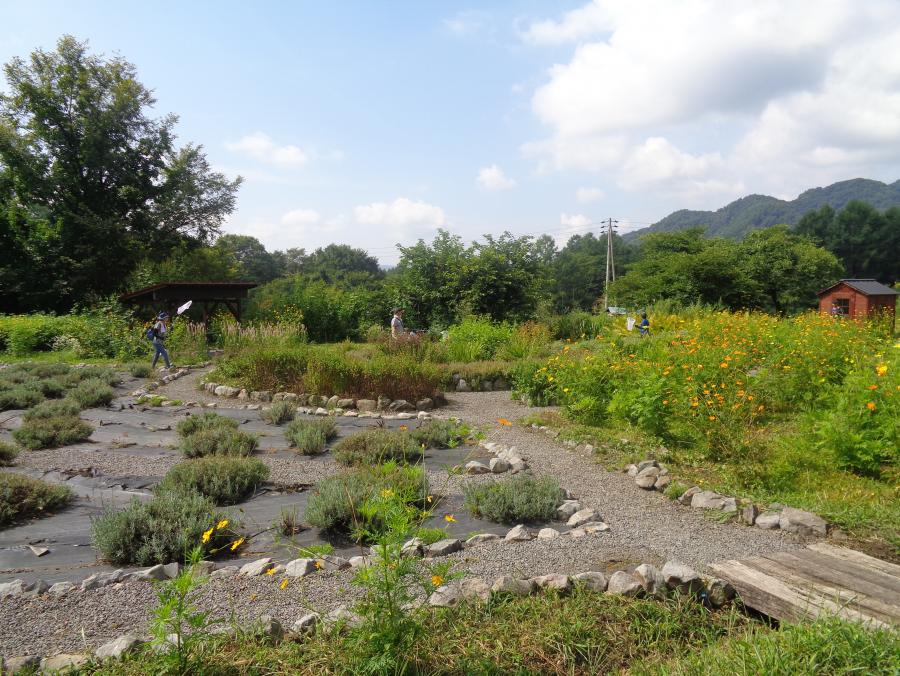 花伝舎のガーデン