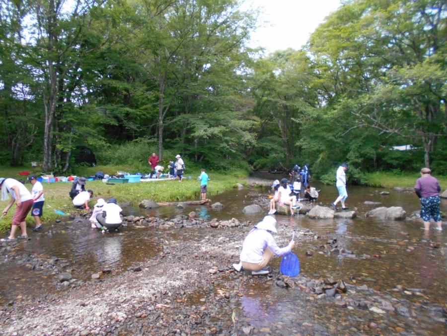 水生生物採取の様子